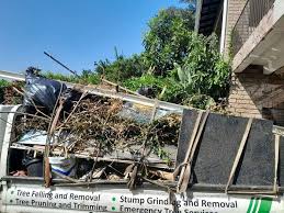 Best Hoarding Cleanup  in Bellemont, AZ